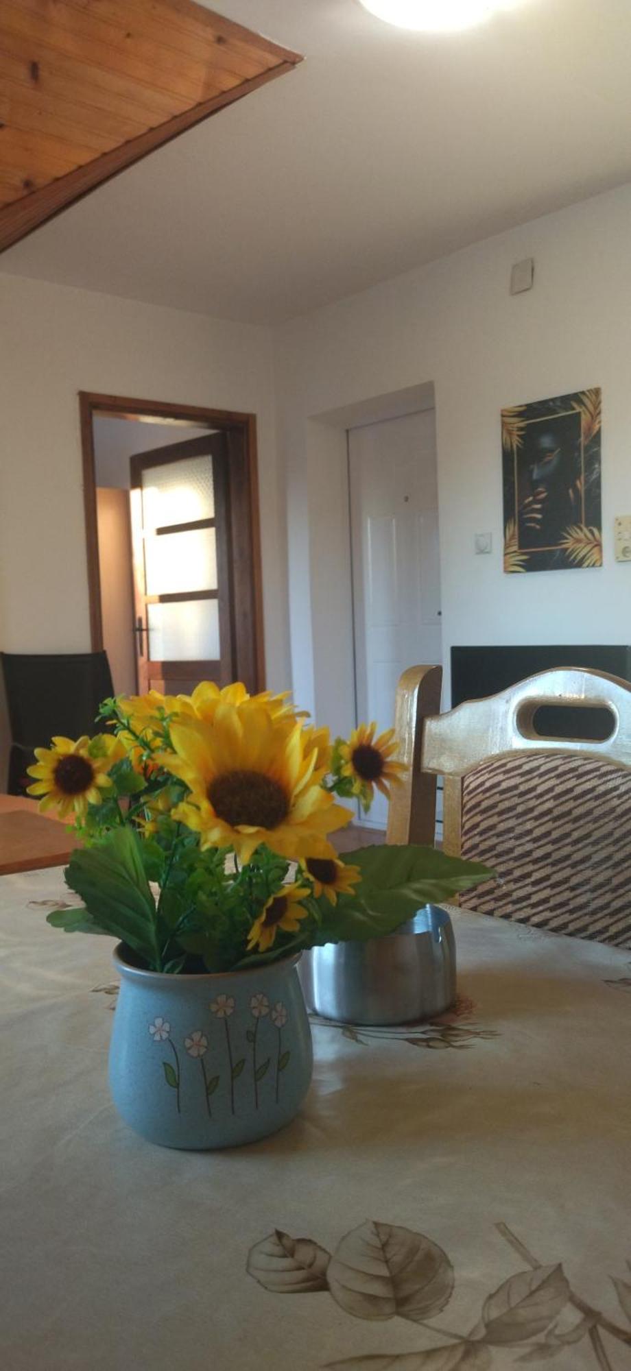 Vila Lenka Sokobanja Δωμάτιο φωτογραφία