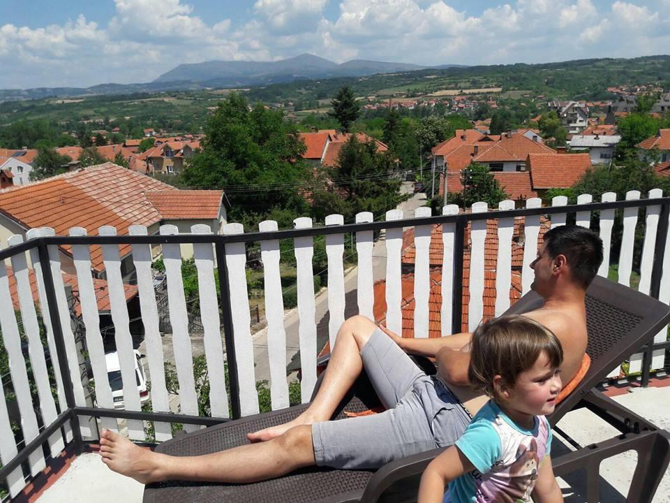 Vila Lenka Sokobanja Εξωτερικό φωτογραφία