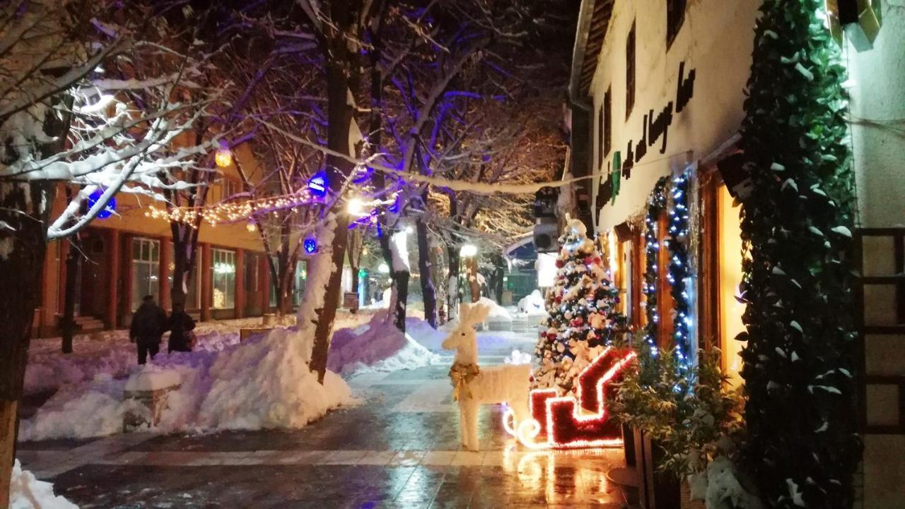 Vila Lenka Sokobanja Εξωτερικό φωτογραφία