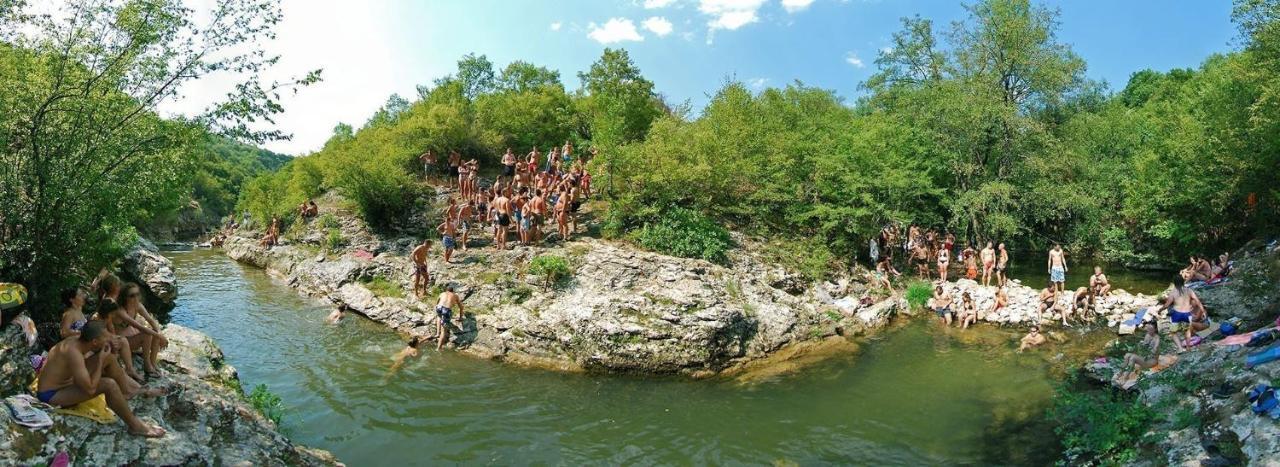 Vila Lenka Sokobanja Εξωτερικό φωτογραφία