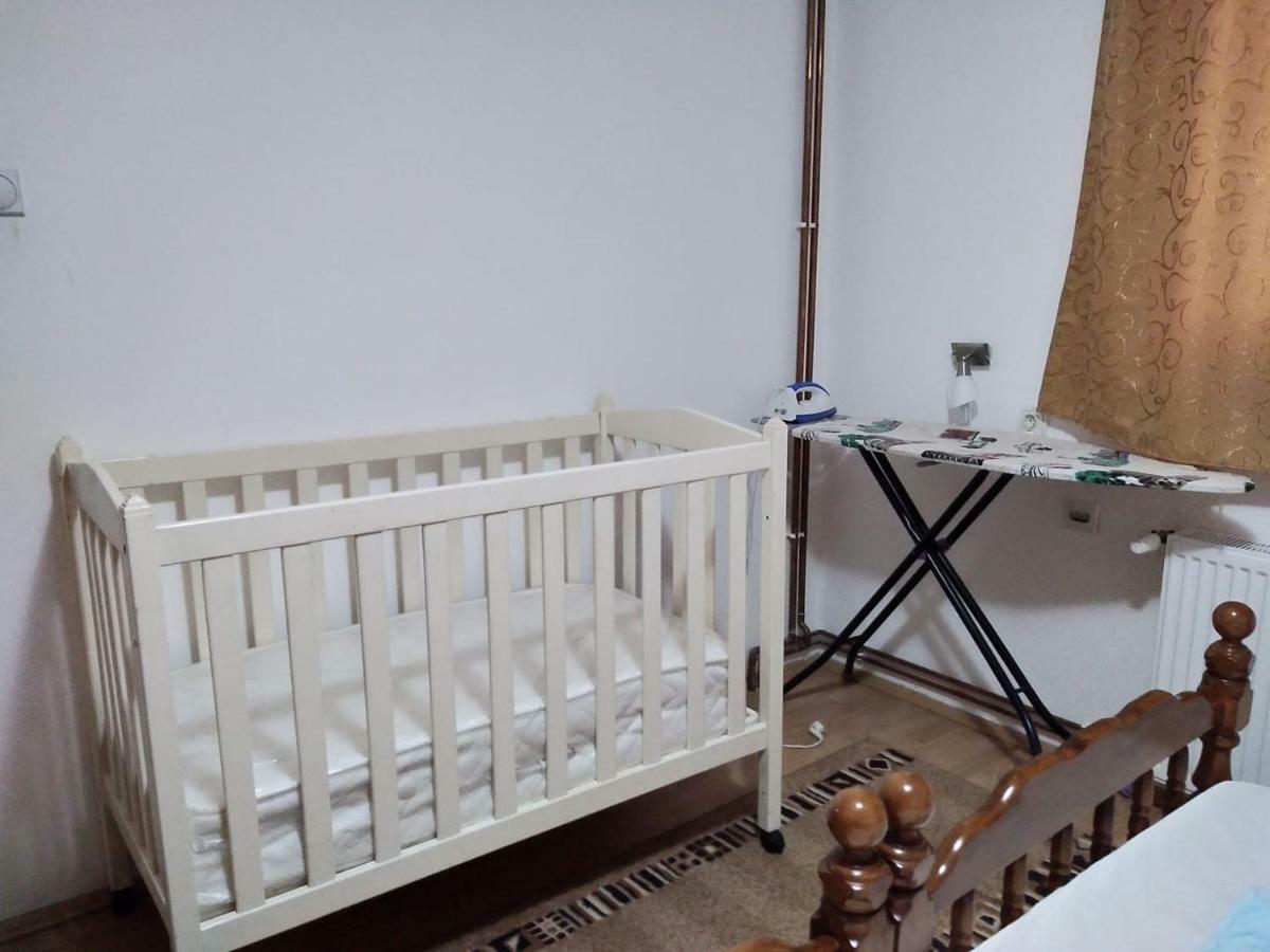 Vila Lenka Sokobanja Εξωτερικό φωτογραφία